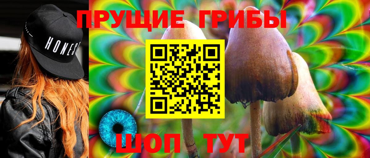Псилоцибиновые грибы GOLDEN TEACHER Асбест